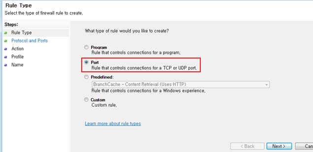 Select 'Port' and click 'Next' button.