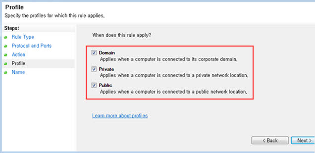 Check 'Domain','Private','public' all and click 'Next>' button.